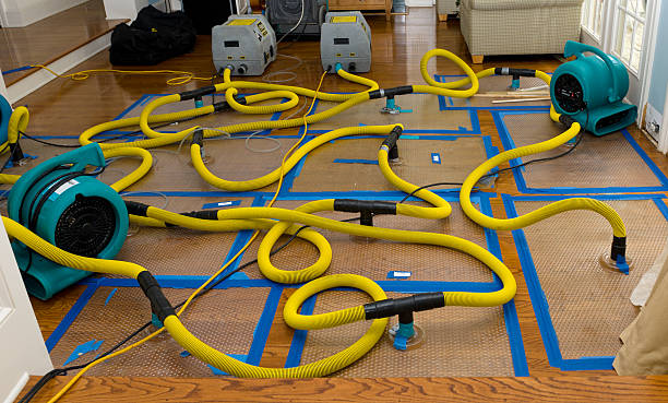 Professional Sewage Cleanup technician working in Upland, IN